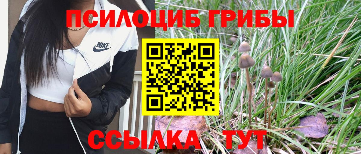 Галлюциногенные грибы мухоморы Звенигород