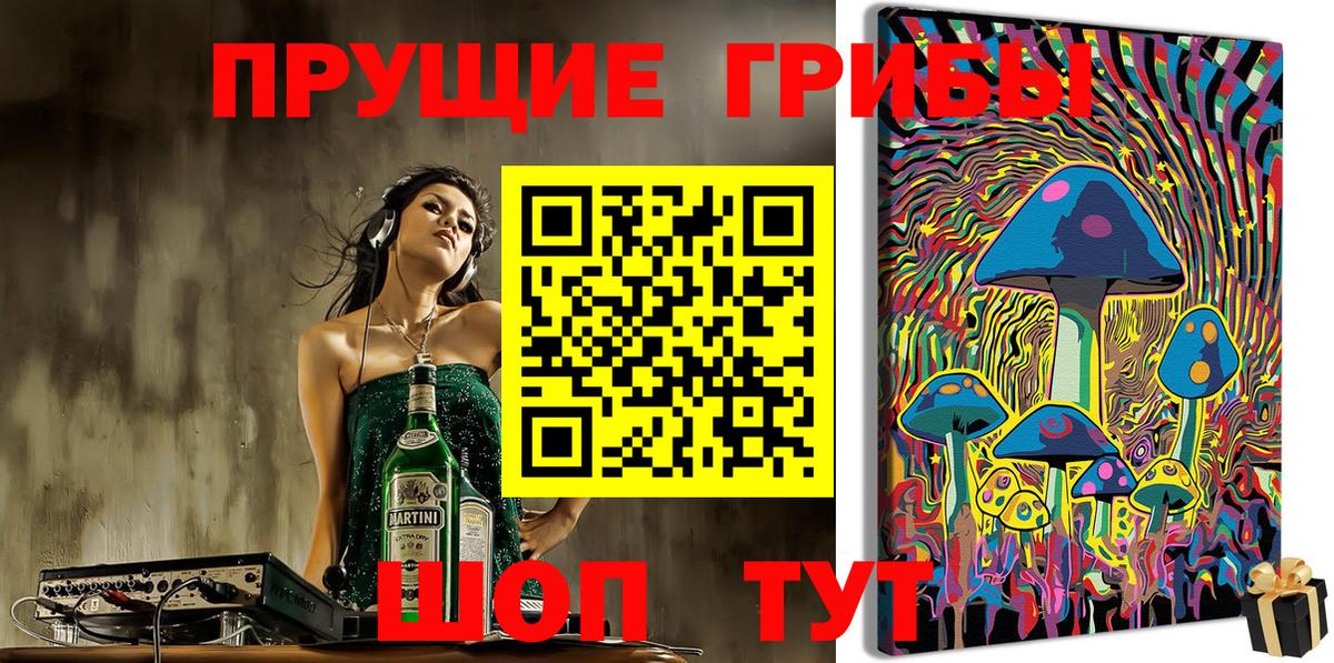 Звенигород  Галлюциногенные грибы мицелий  Вход с VPN 